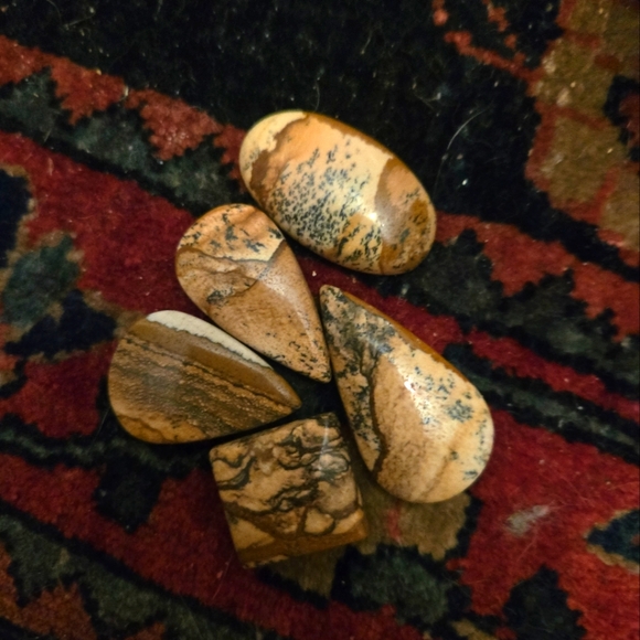 Other - Natural Picture Jasper Stone Cabochons 5pc